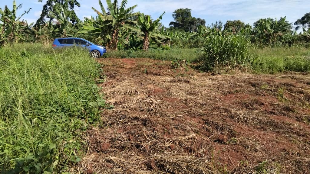 Residential Land for sale in Kijabijoo Wakiso