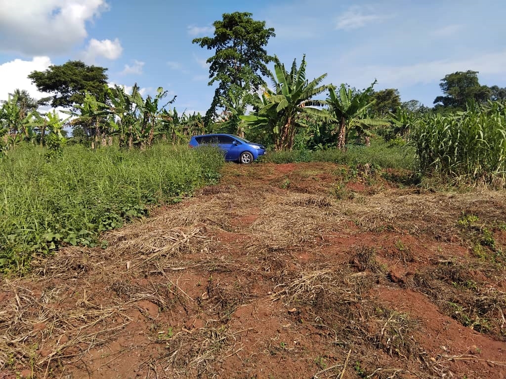 Residential Land for sale in Kijabijoo Wakiso