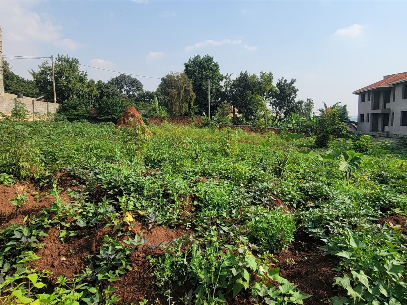 Residential Land for sale in Kungu Kampala