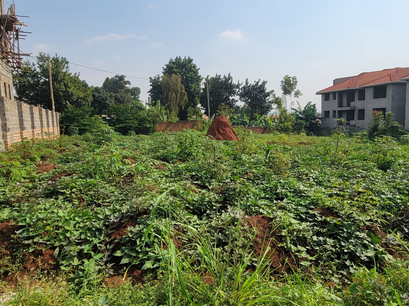 Residential Land for sale in Kungu Kampala