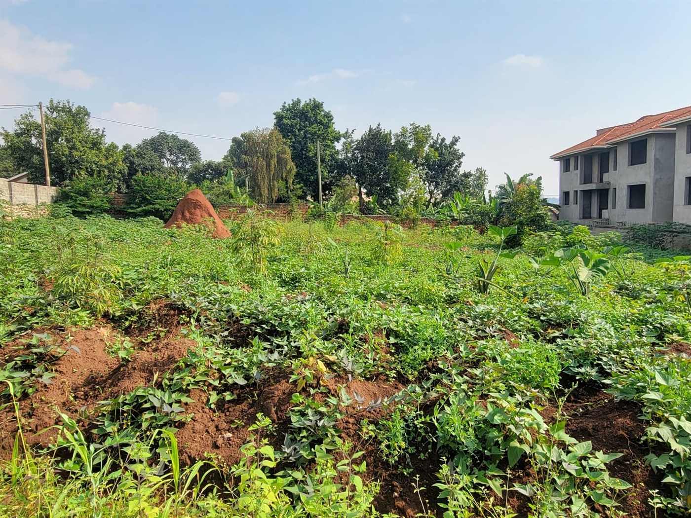 Residential Land for sale in Kungu Kampala