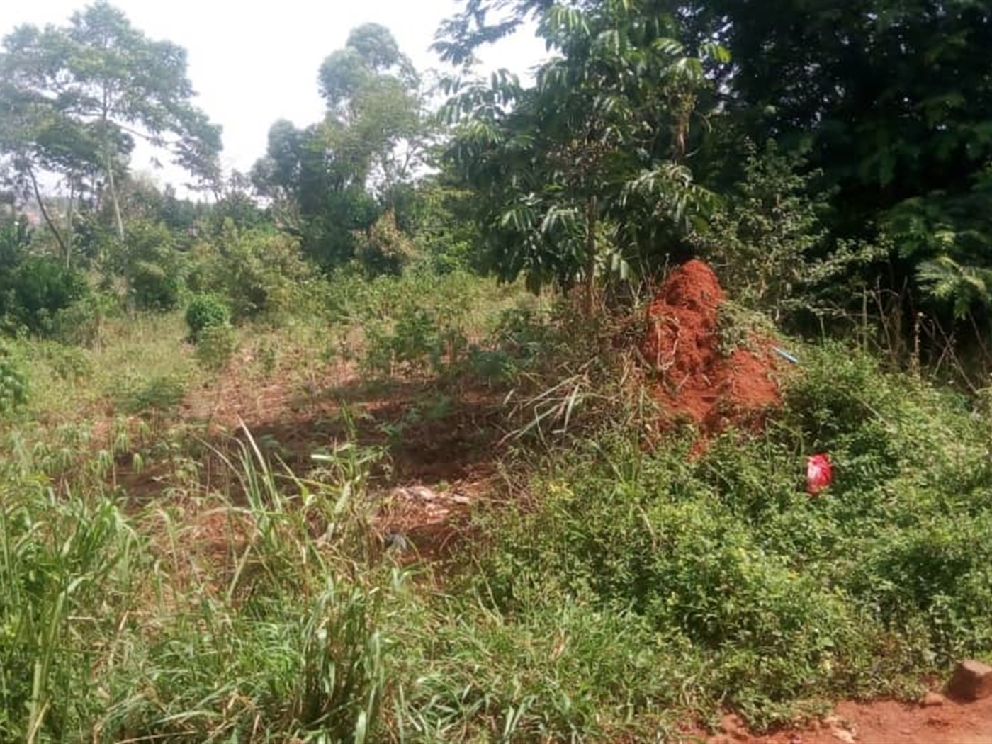 Residential Land for sale in Komamboga Kampala