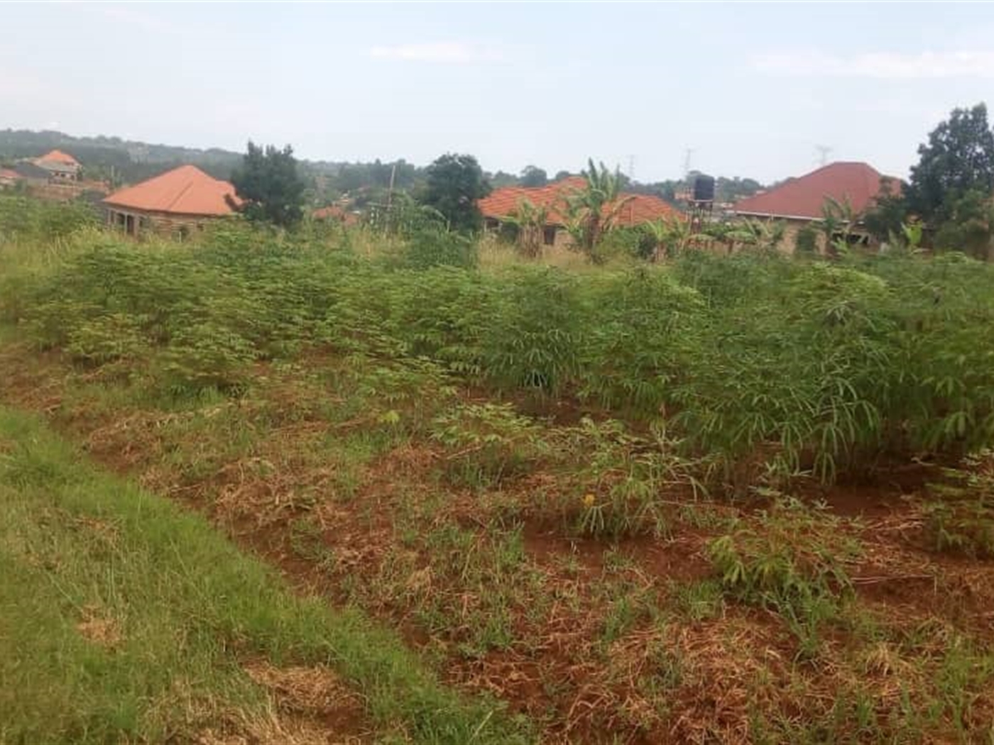 Residential Land for sale in Komamboga Kampala