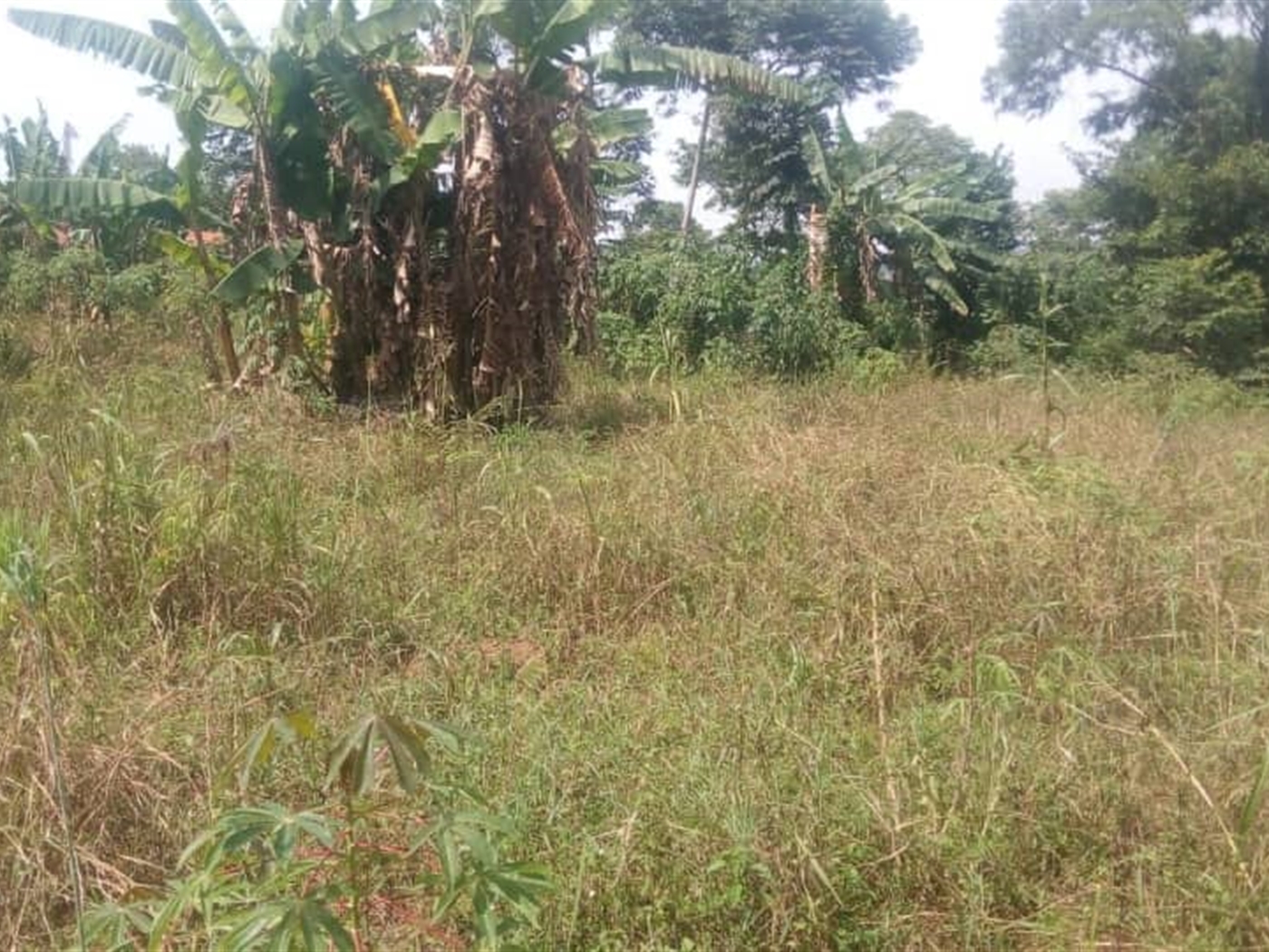 Residential Land for sale in Komamboga Kampala