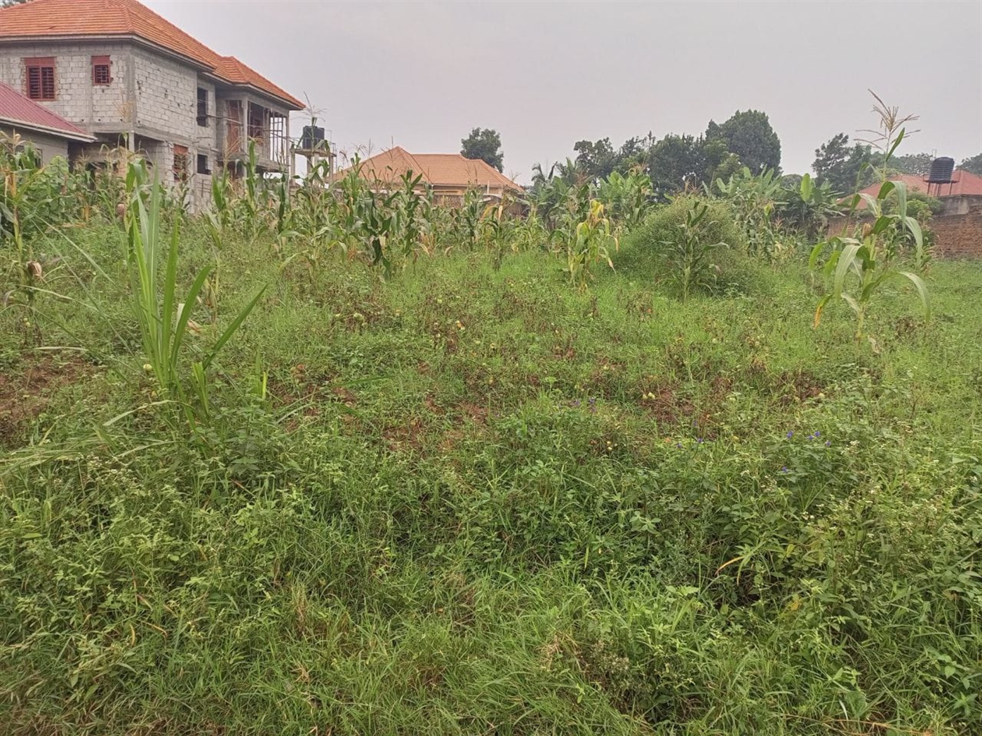 Residential Land for sale in Komamboga Kampala