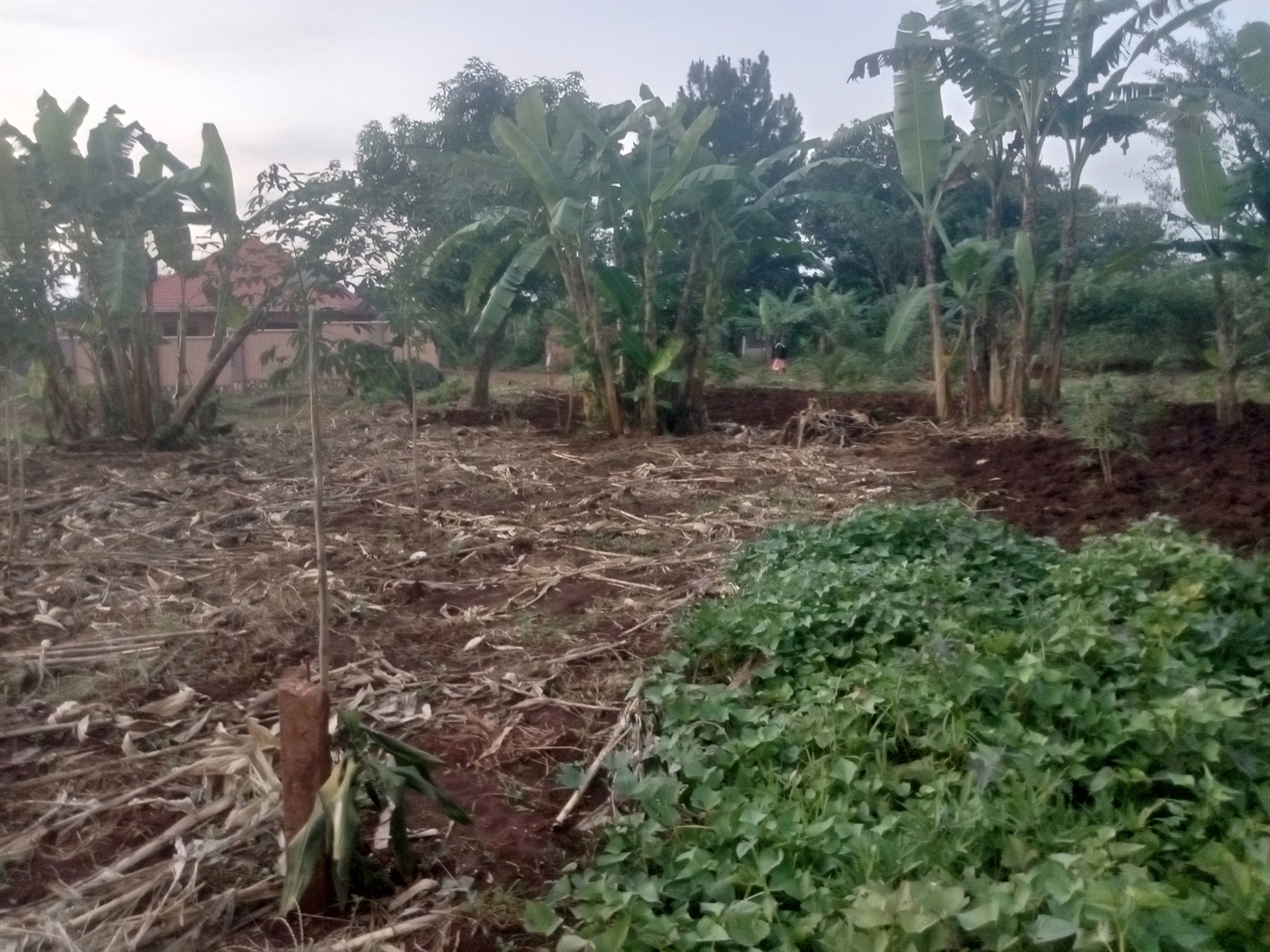 Residential Land for sale in Kiwologoma Wakiso