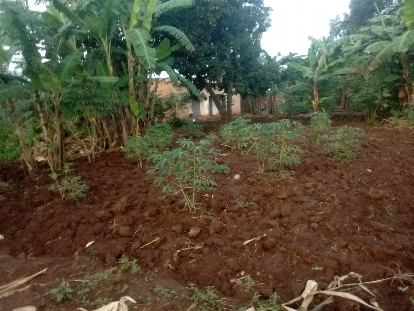 Residential Land for sale in Kiwologoma Wakiso