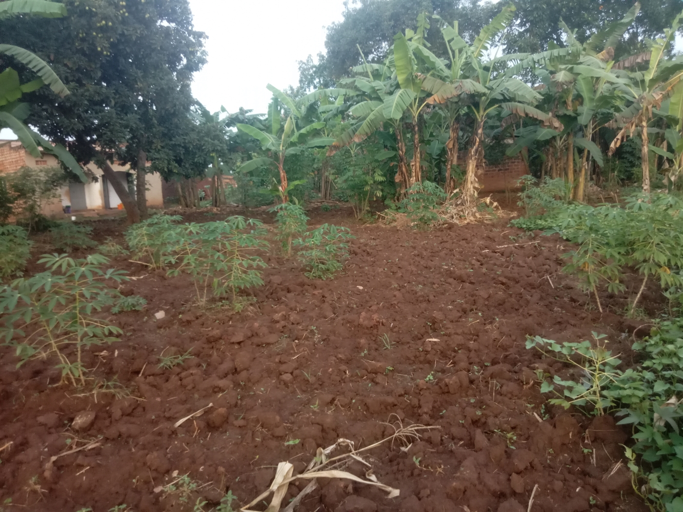 Residential Land for sale in Kiwologoma Wakiso