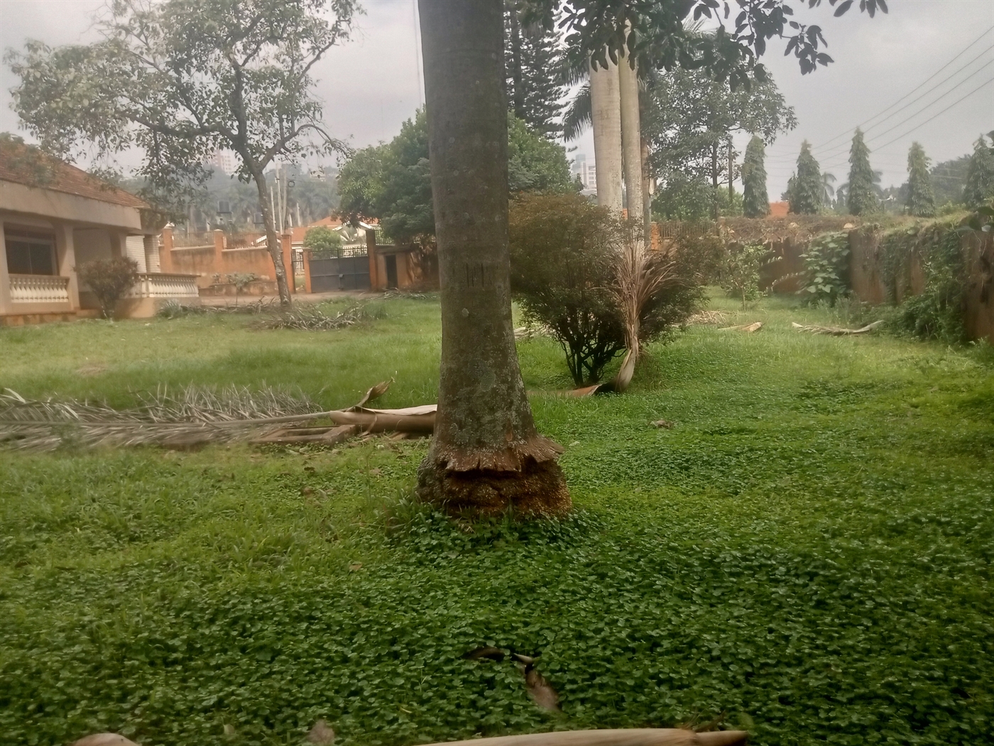 Residential Land for sale in Naguru Kampala