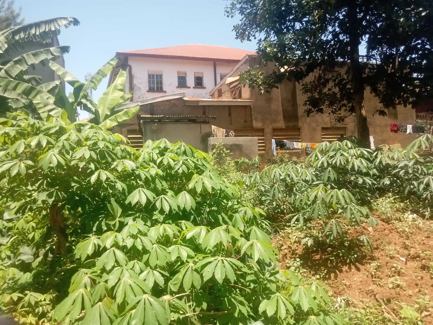 Commercial Land for sale in Entebbe Wakiso