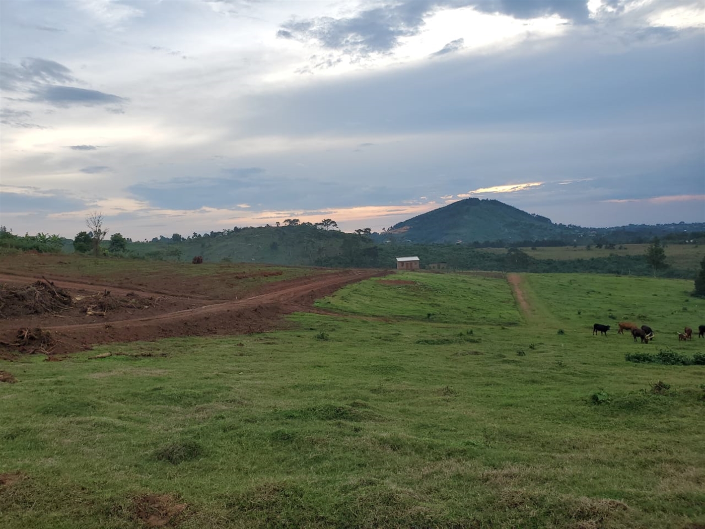 Residential Land for sale in Kkungu Kampala