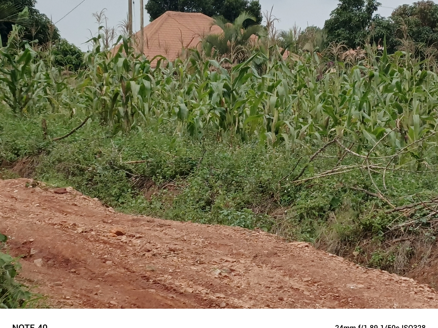 Residential Land for sale in Nangabo Wakiso