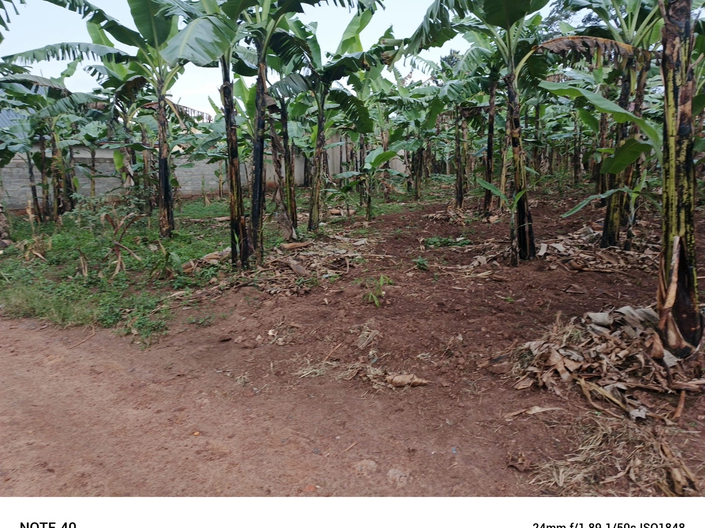 Residential Land for sale in Nangabo Wakiso