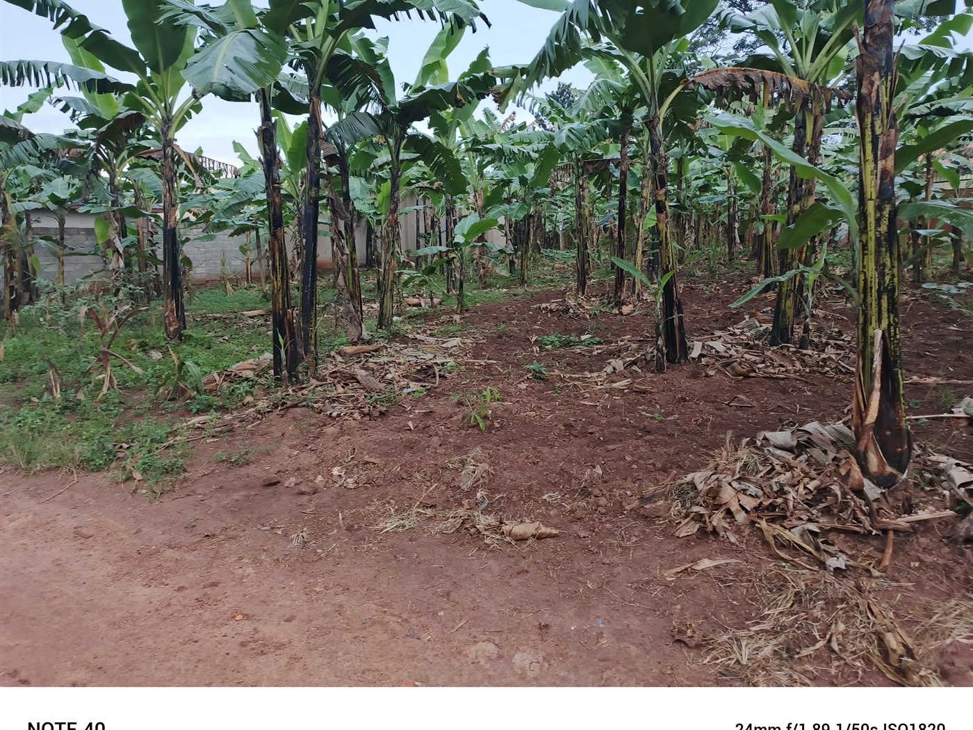 Residential Land for sale in Nangabo Wakiso