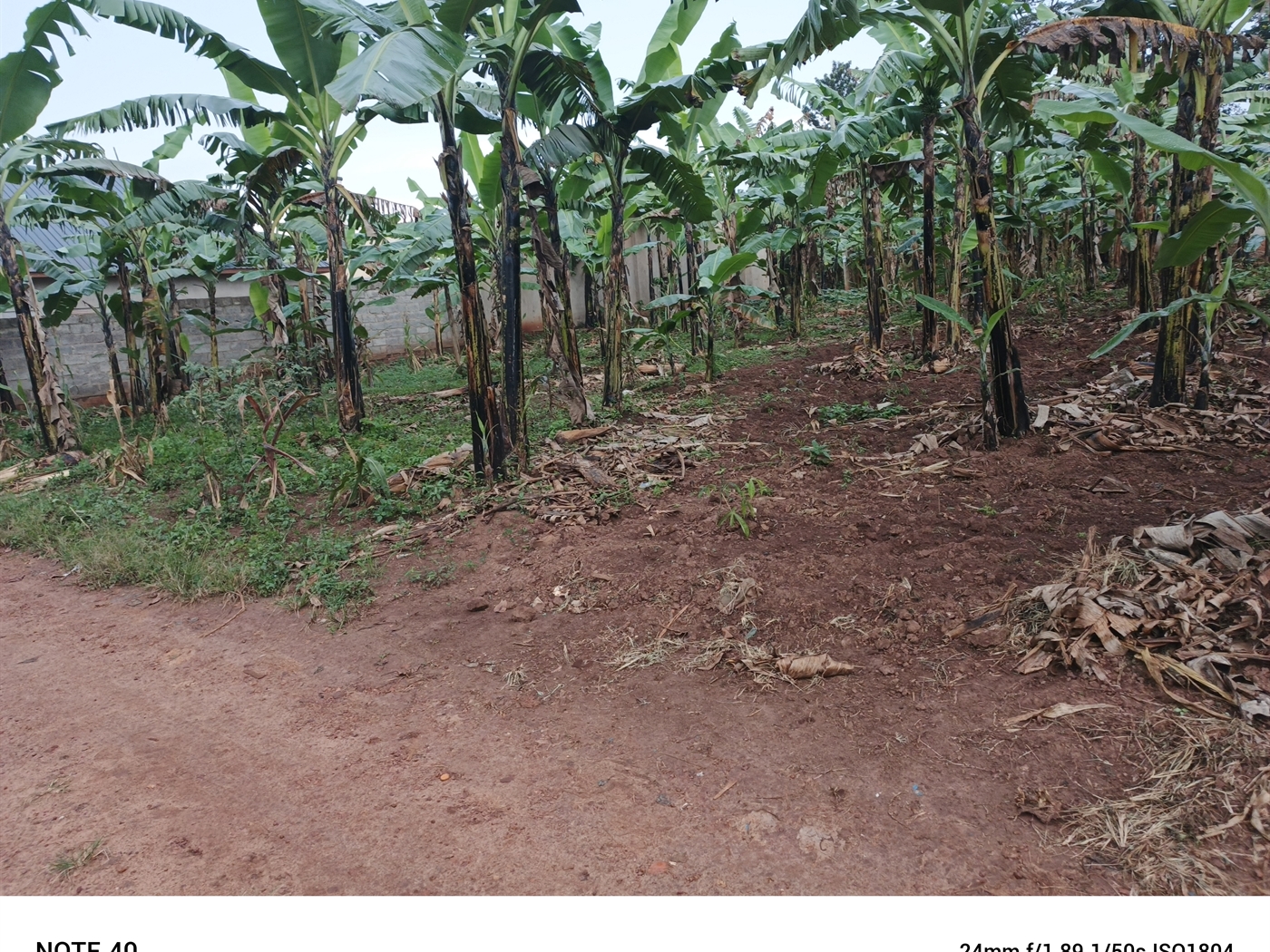 Residential Land for sale in Nangabo Wakiso