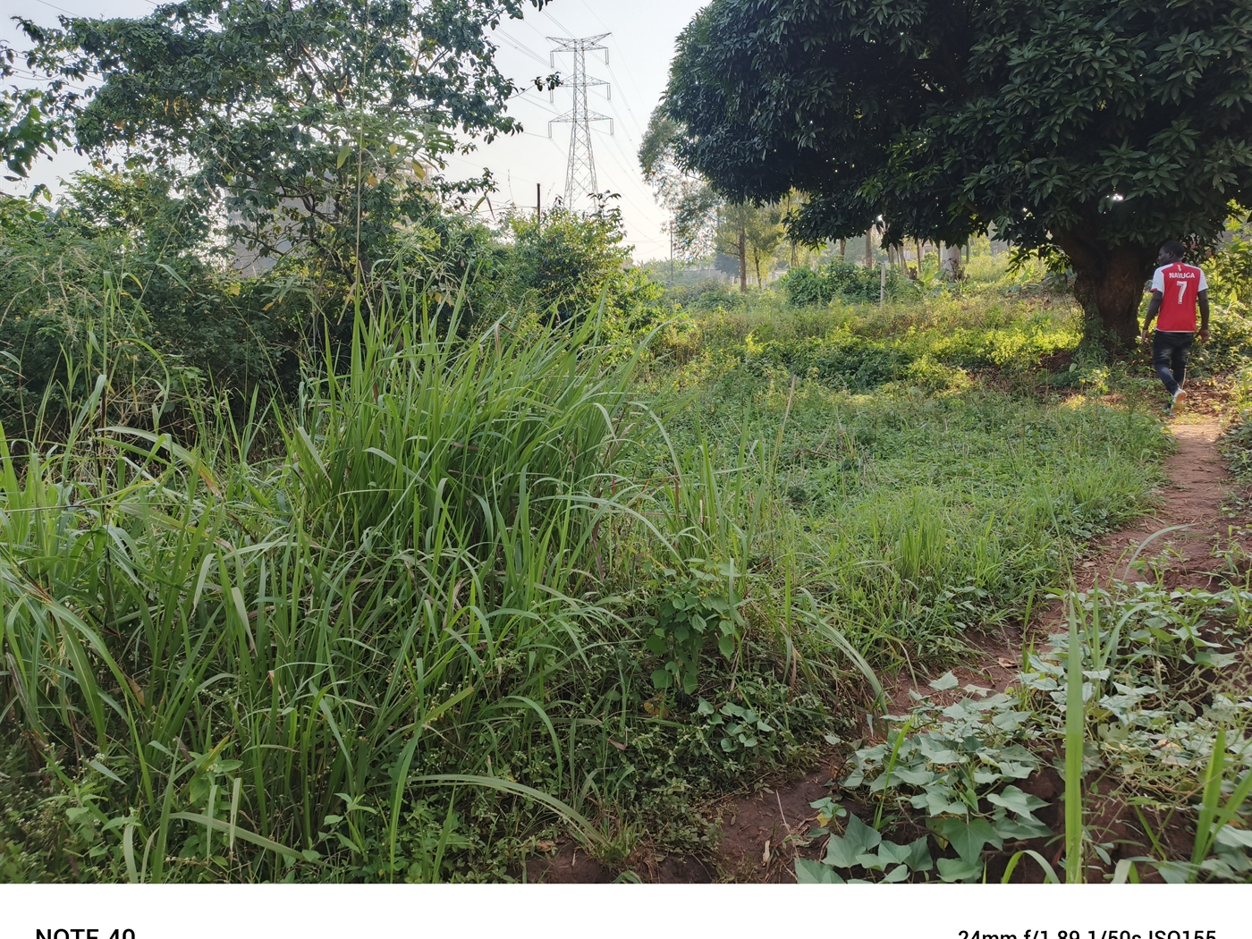 Residential Land for sale in Kungu Wakiso