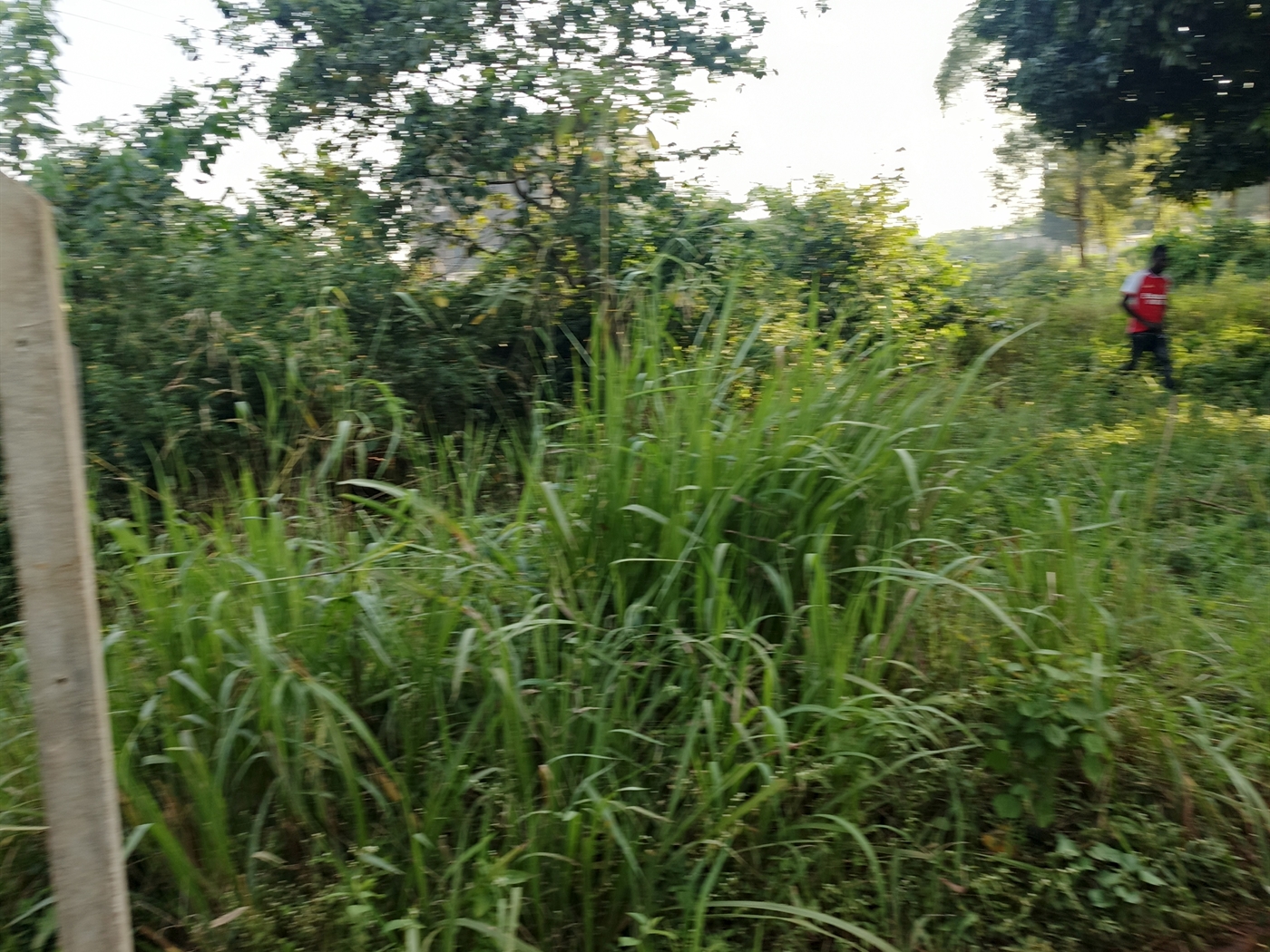 Residential Land for sale in Kungu Wakiso