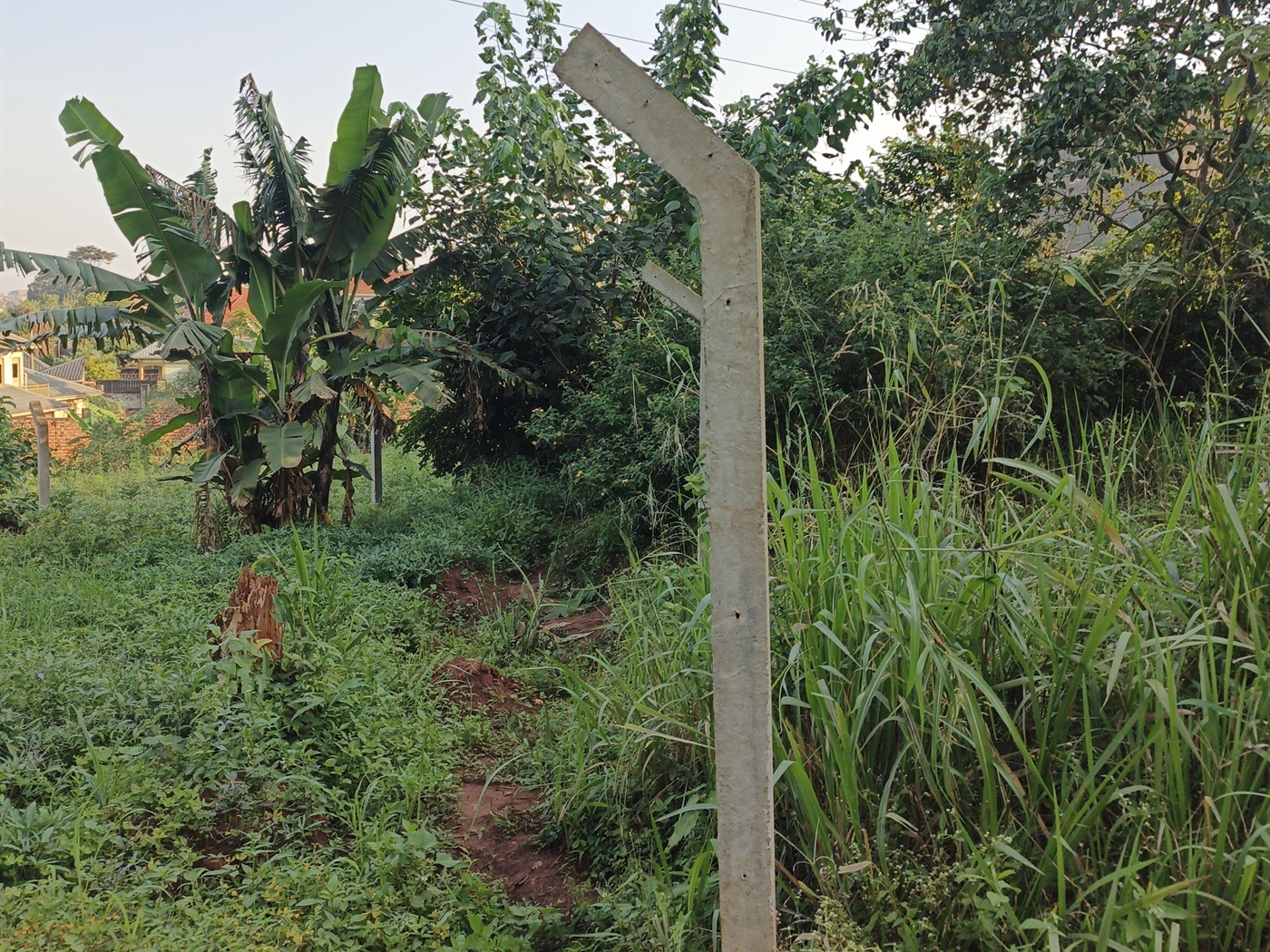 Residential Land for sale in Kungu Wakiso