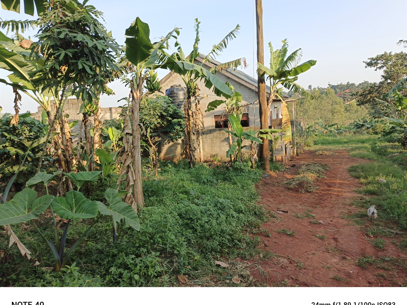 Residential Land for sale in Magere Wakiso