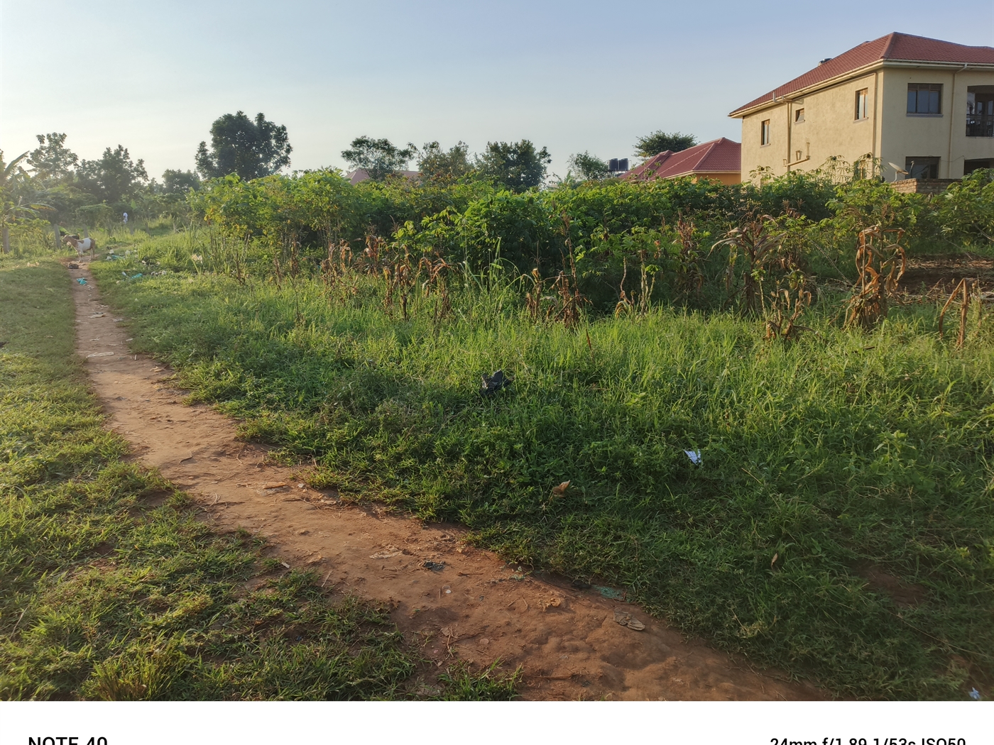 Residential Land for sale in Magere Wakiso