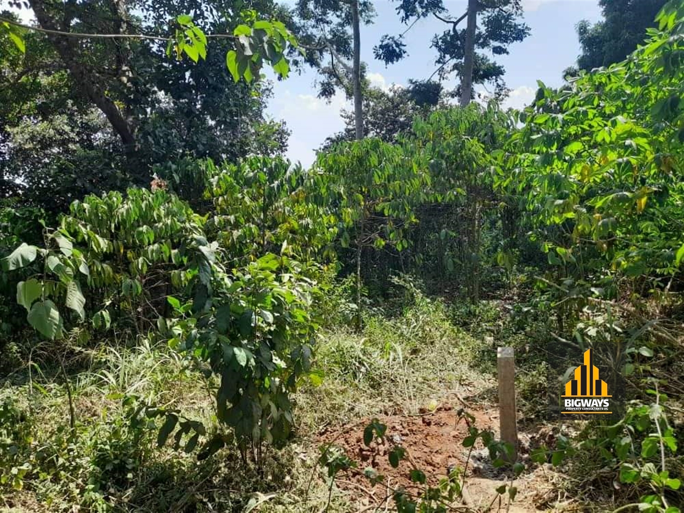 Residential Land for sale in Kyanja Kampala