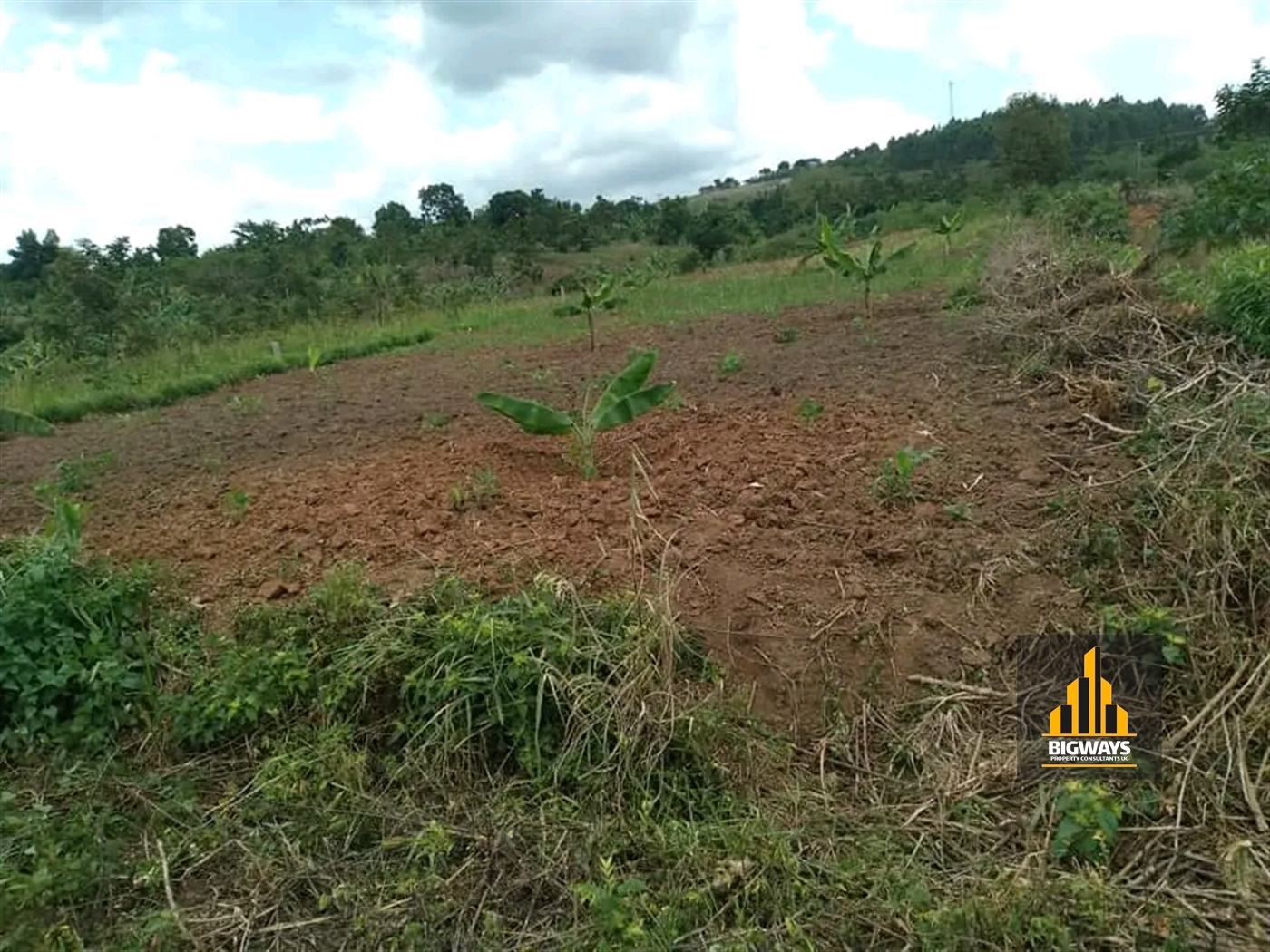 Residential Land for sale in Kiwenda Wakiso