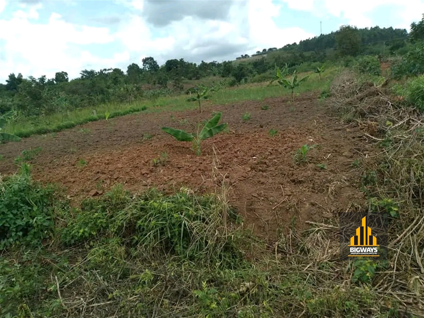 Residential Land for sale in Kiwenda Wakiso