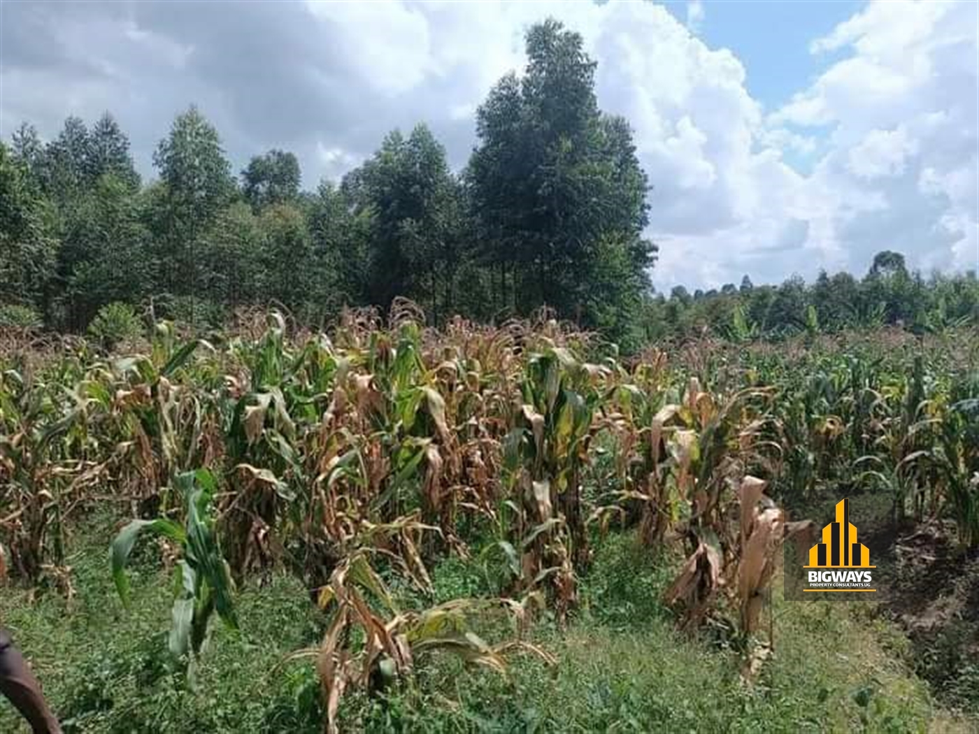 Residential Land for sale in Namugongo Wakiso