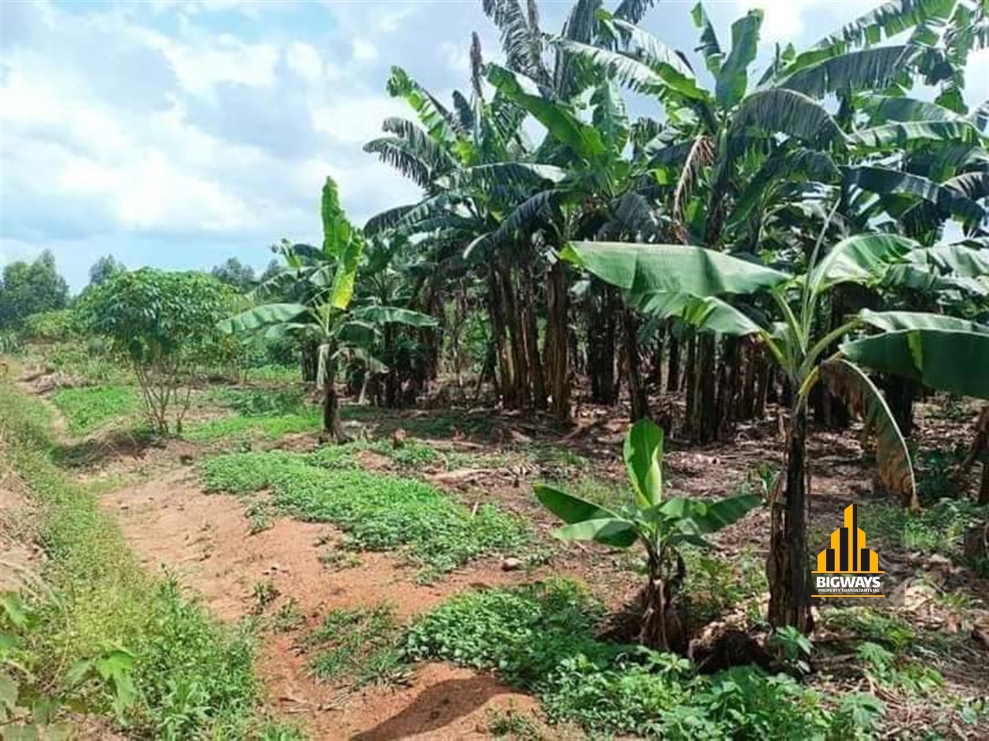 Residential Land for sale in Namugongo Wakiso