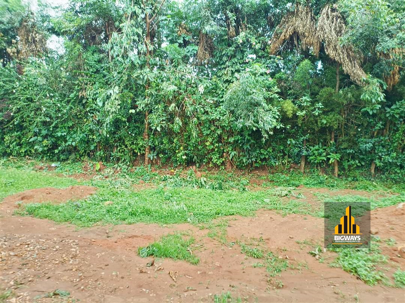 Residential Land for sale in Kisaasi Kampala