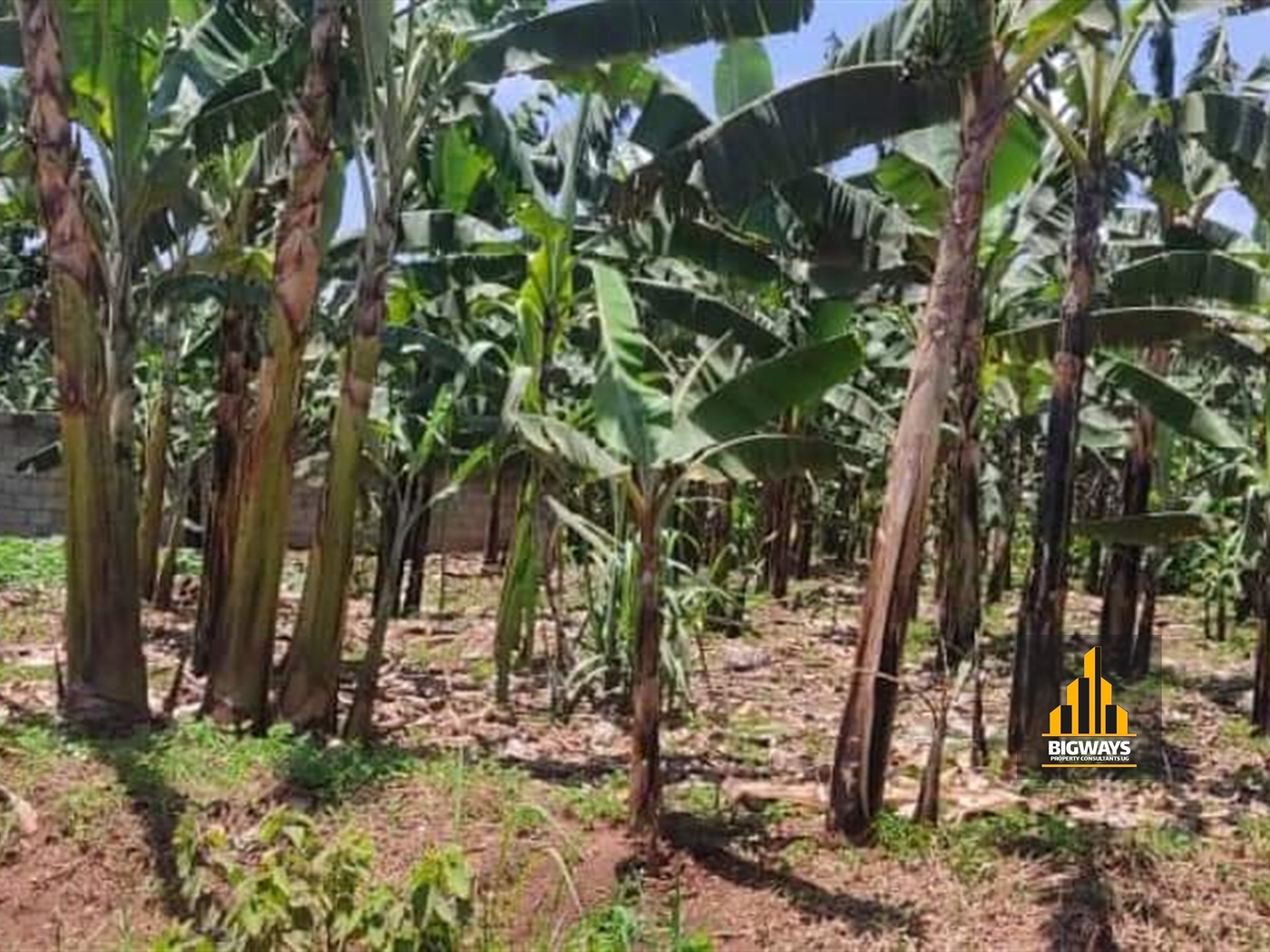 Residential Land for sale in Kira Wakiso