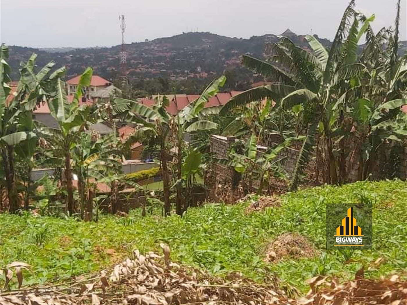 Residential Land for sale in Kitende Wakiso