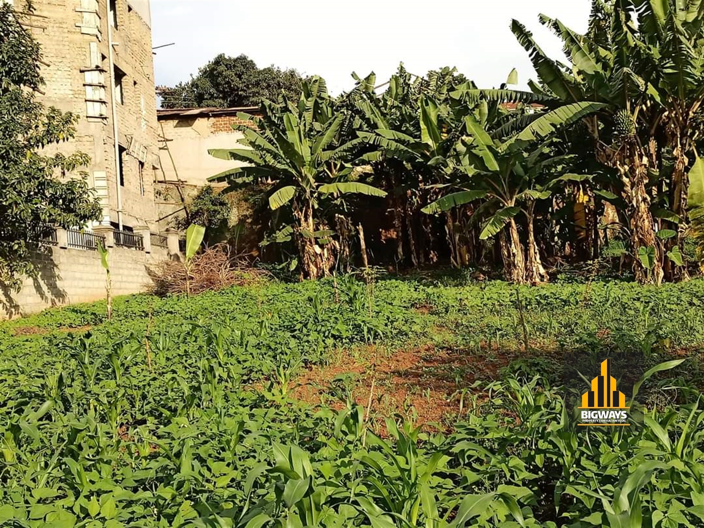 Residential Land for sale in Bukoto Kampala