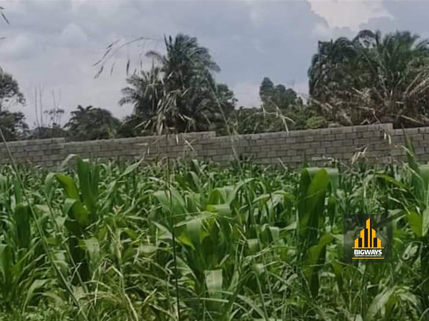 Residential Land for sale in Namugongo Wakiso