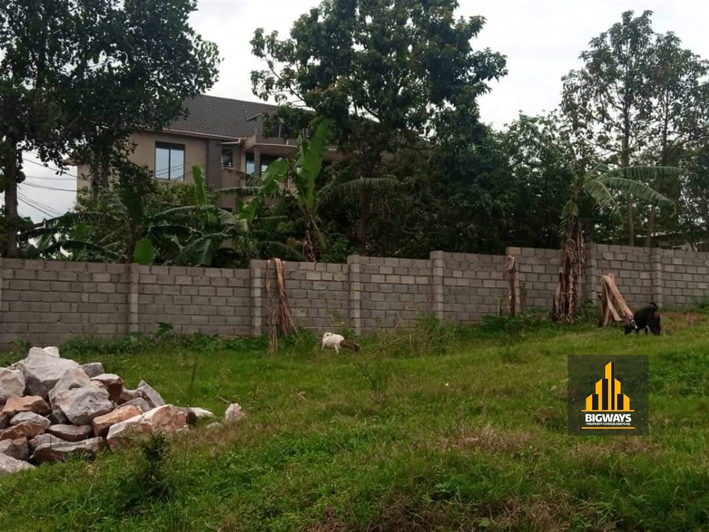 Residential Land for sale in Kisaasi Kampala