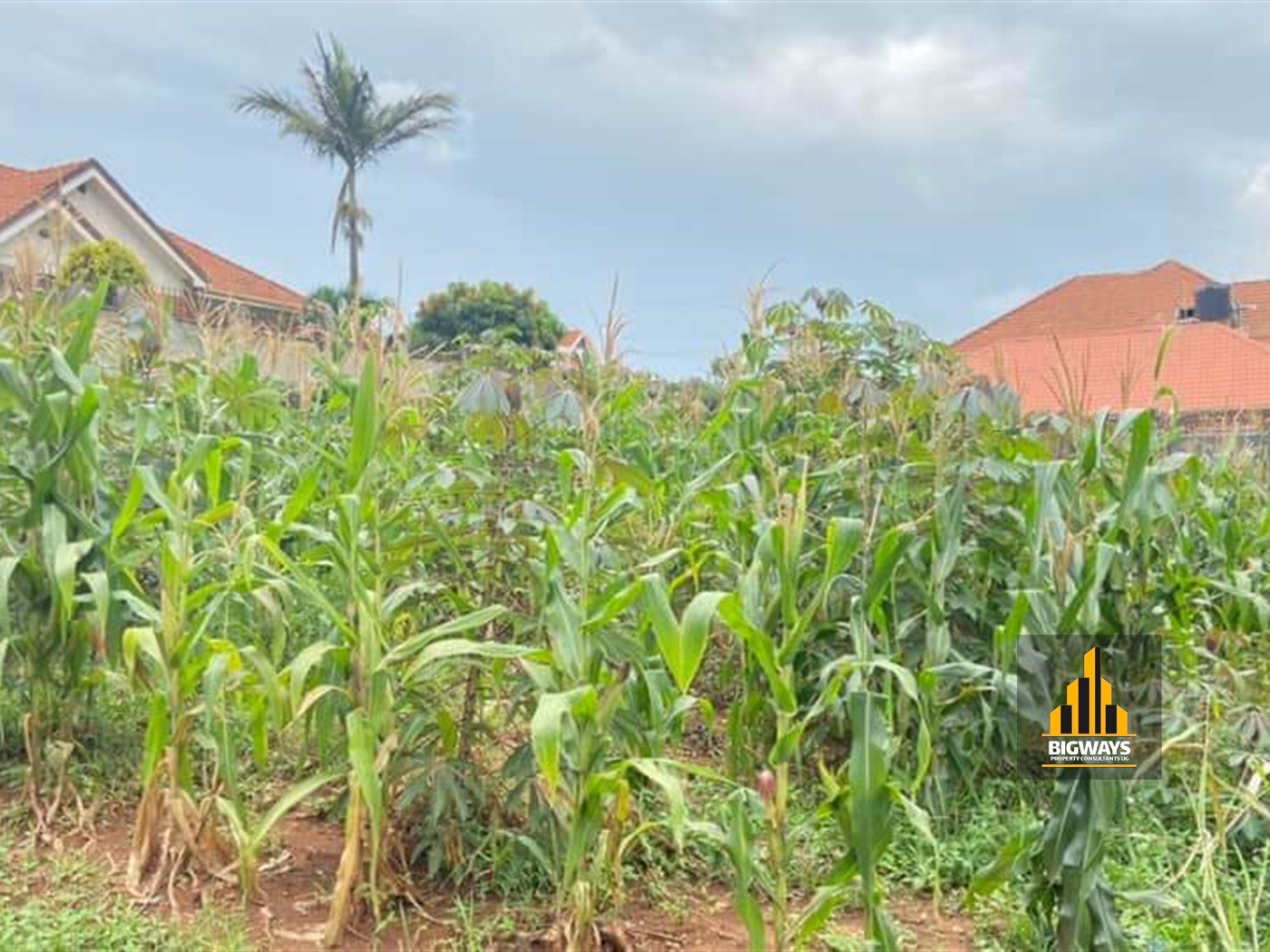 Residential Land for sale in Naalya Wakiso