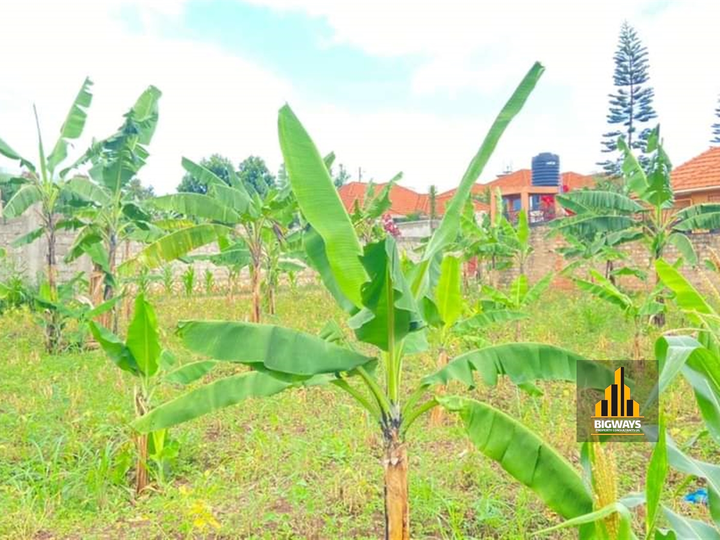 Residential Land for sale in Mulawa Wakiso