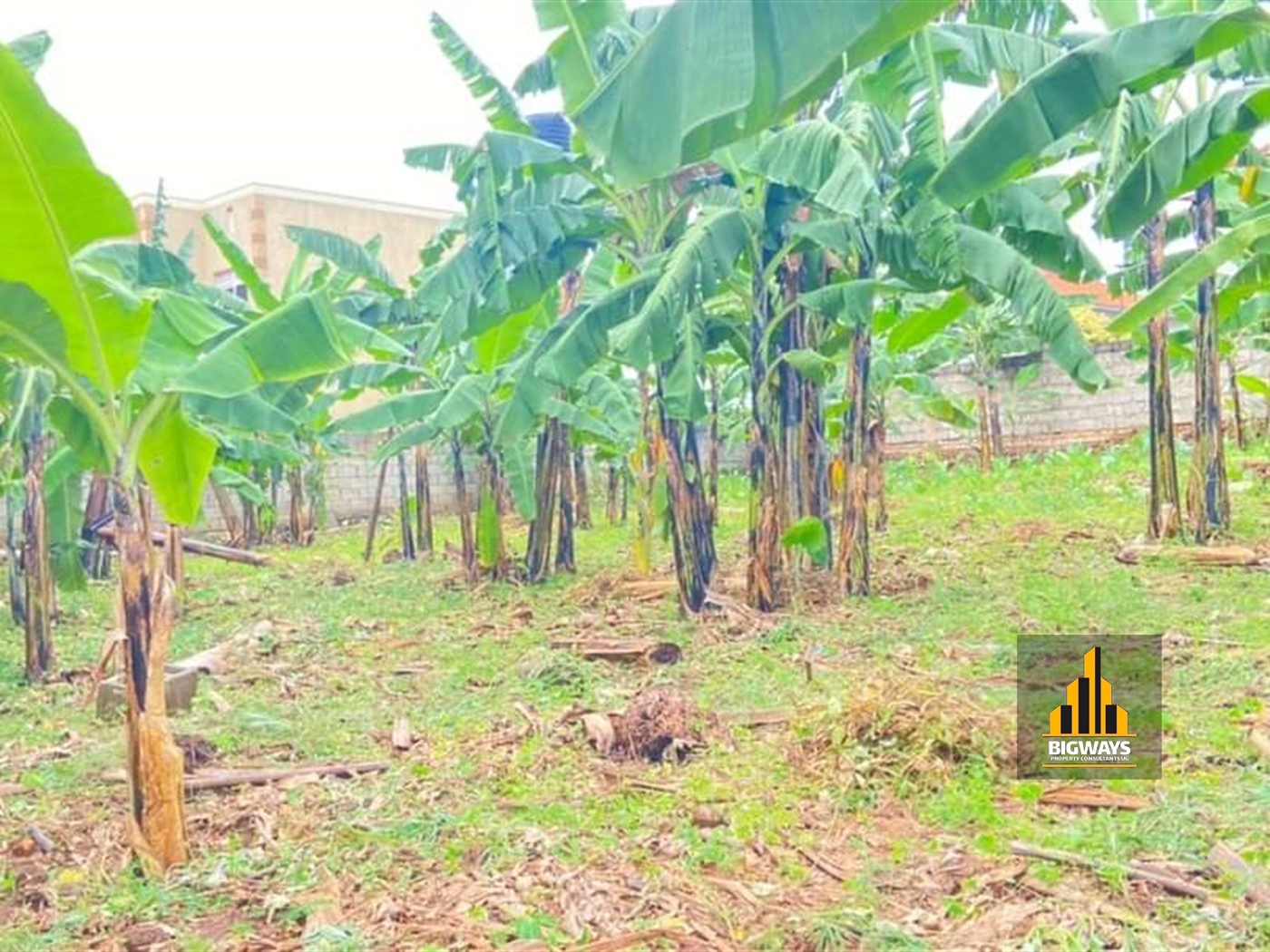 Residential Land for sale in Mulawa Wakiso