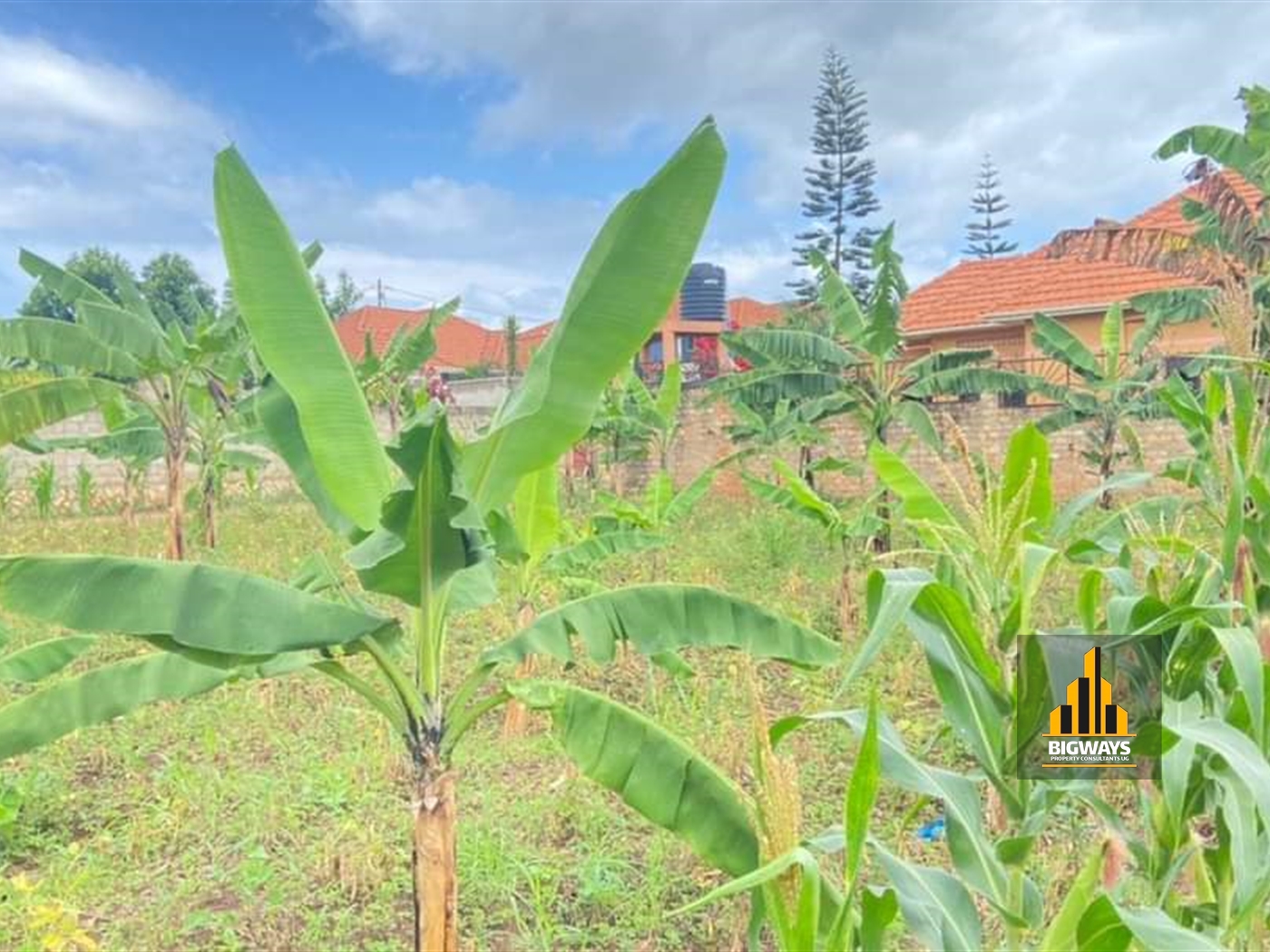 Residential Land for sale in Mulawa Wakiso