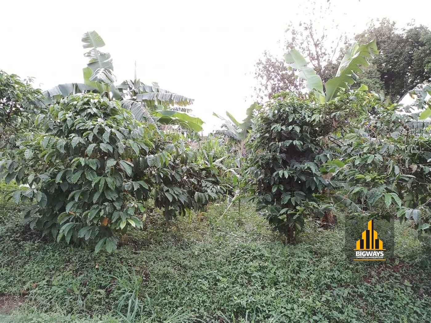 Residential Land for sale in Kisaasi Kampala