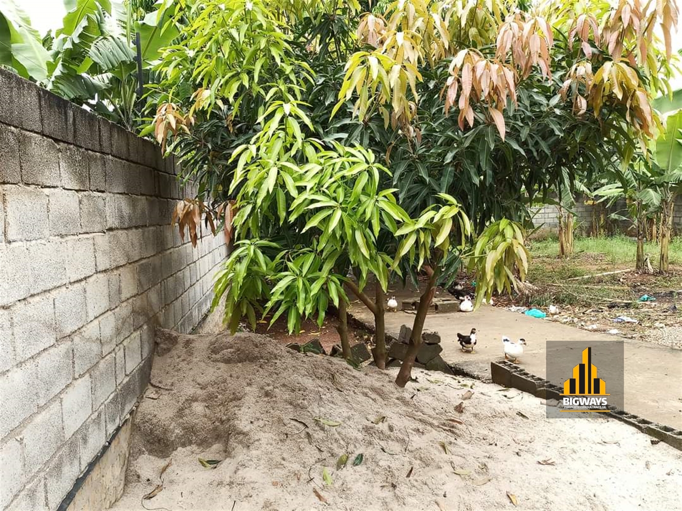 Residential Land for sale in Kyanja Wakiso