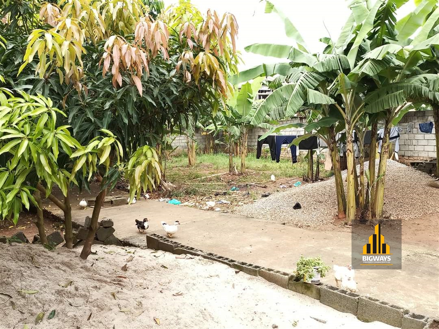 Residential Land for sale in Kyanja Wakiso