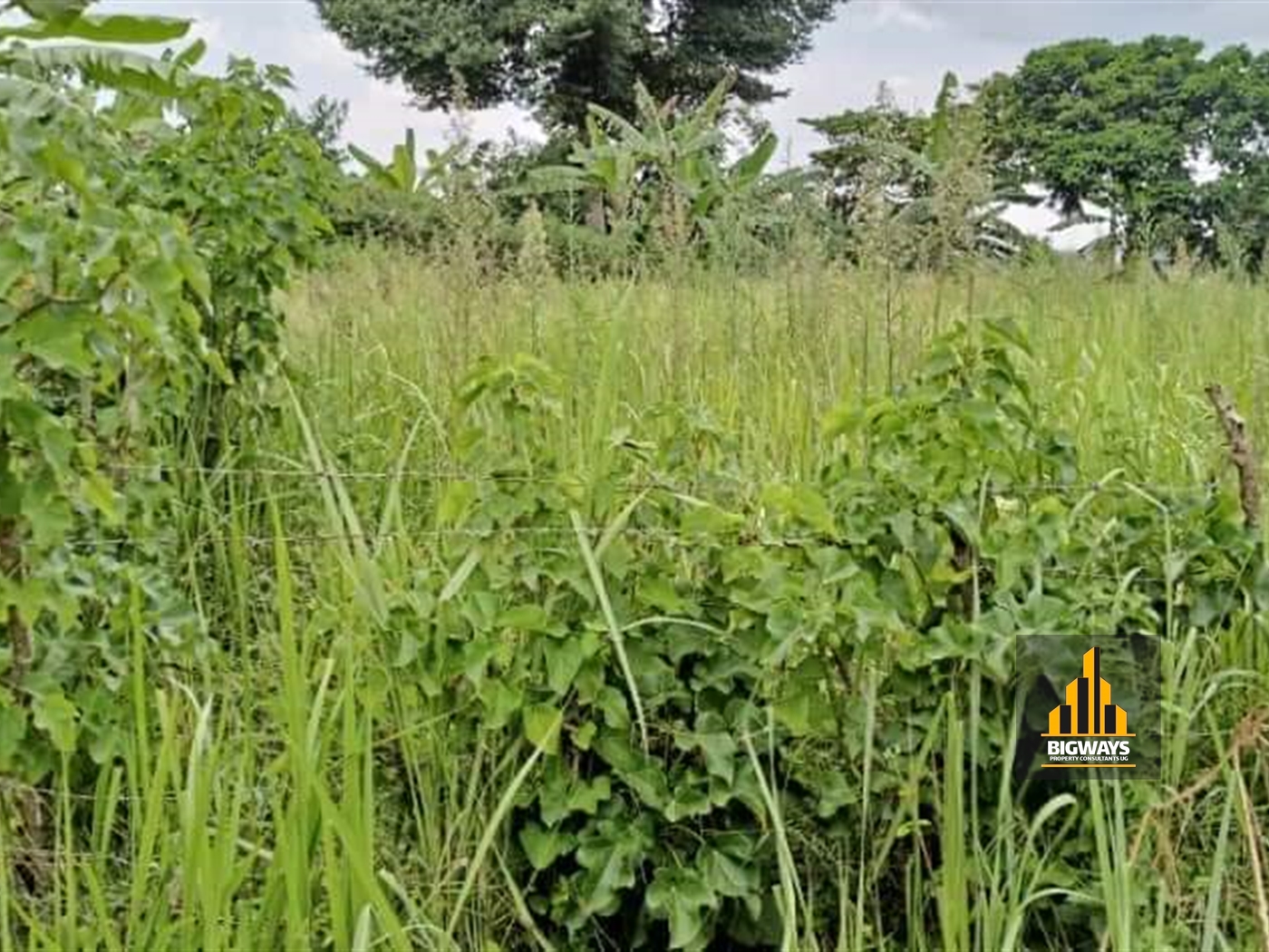 Residential Land for sale in Namugongo Wakiso