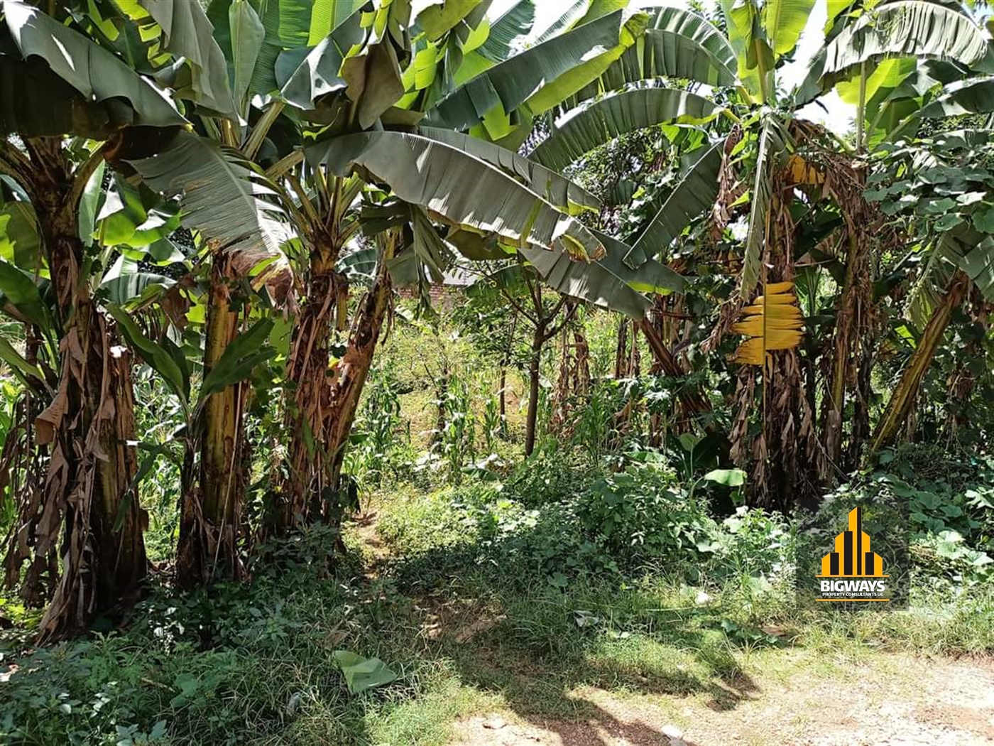 Residential Land for sale in Kyaliwajjala Wakiso