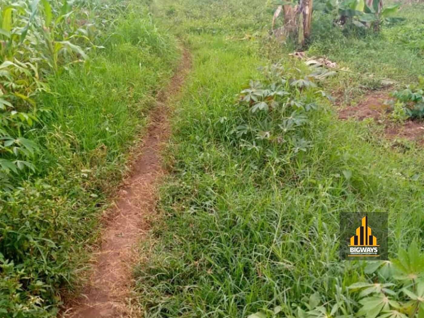 Residential Land for sale in Buto Wakiso