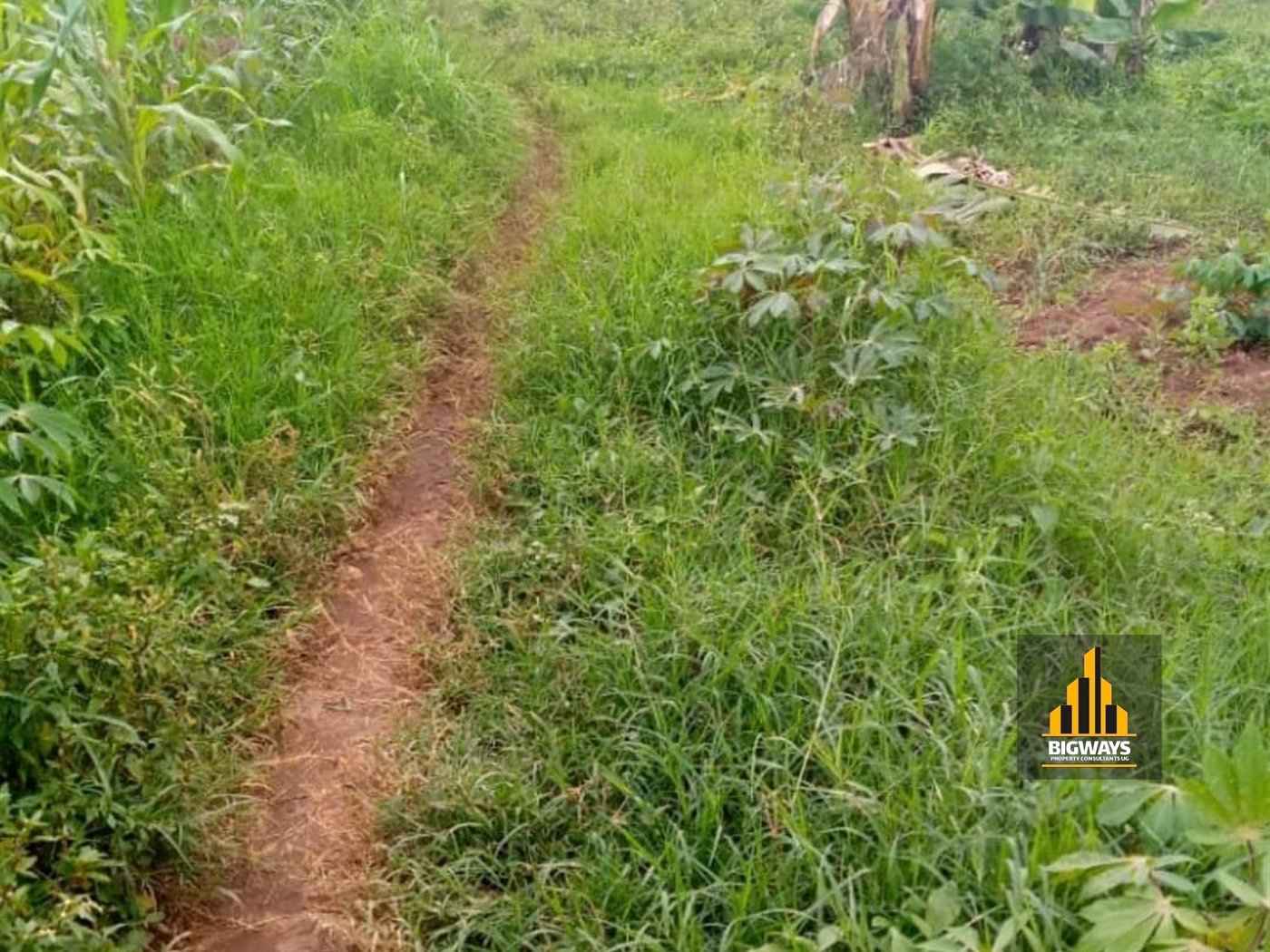 Residential Land for sale in Buto Wakiso