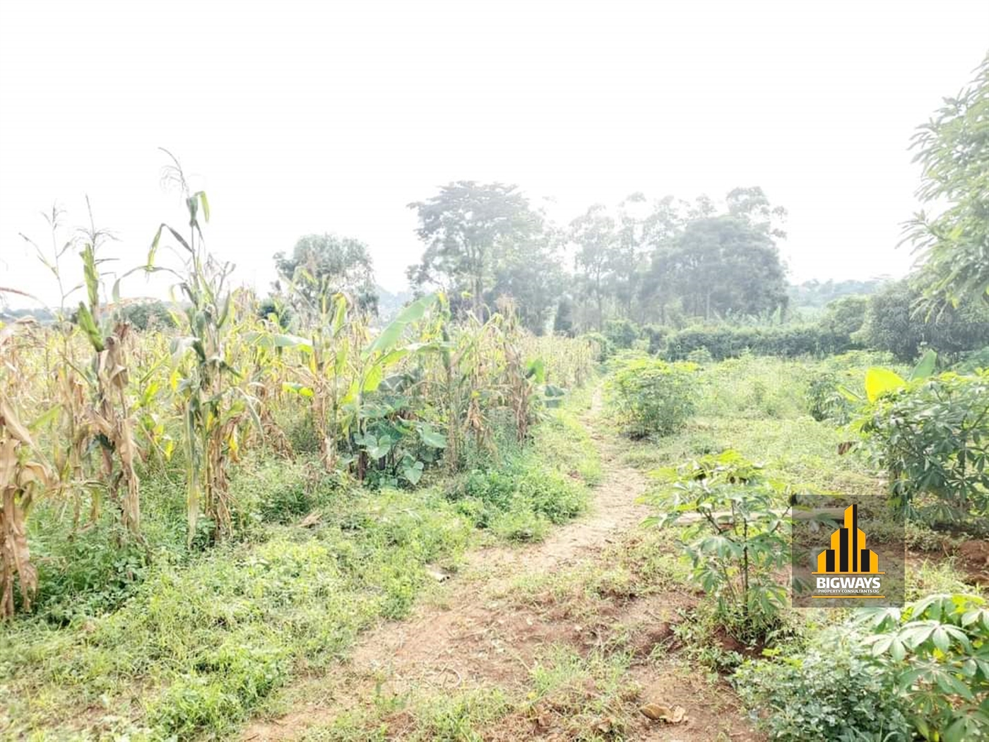 Residential Land for sale in Kira Wakiso