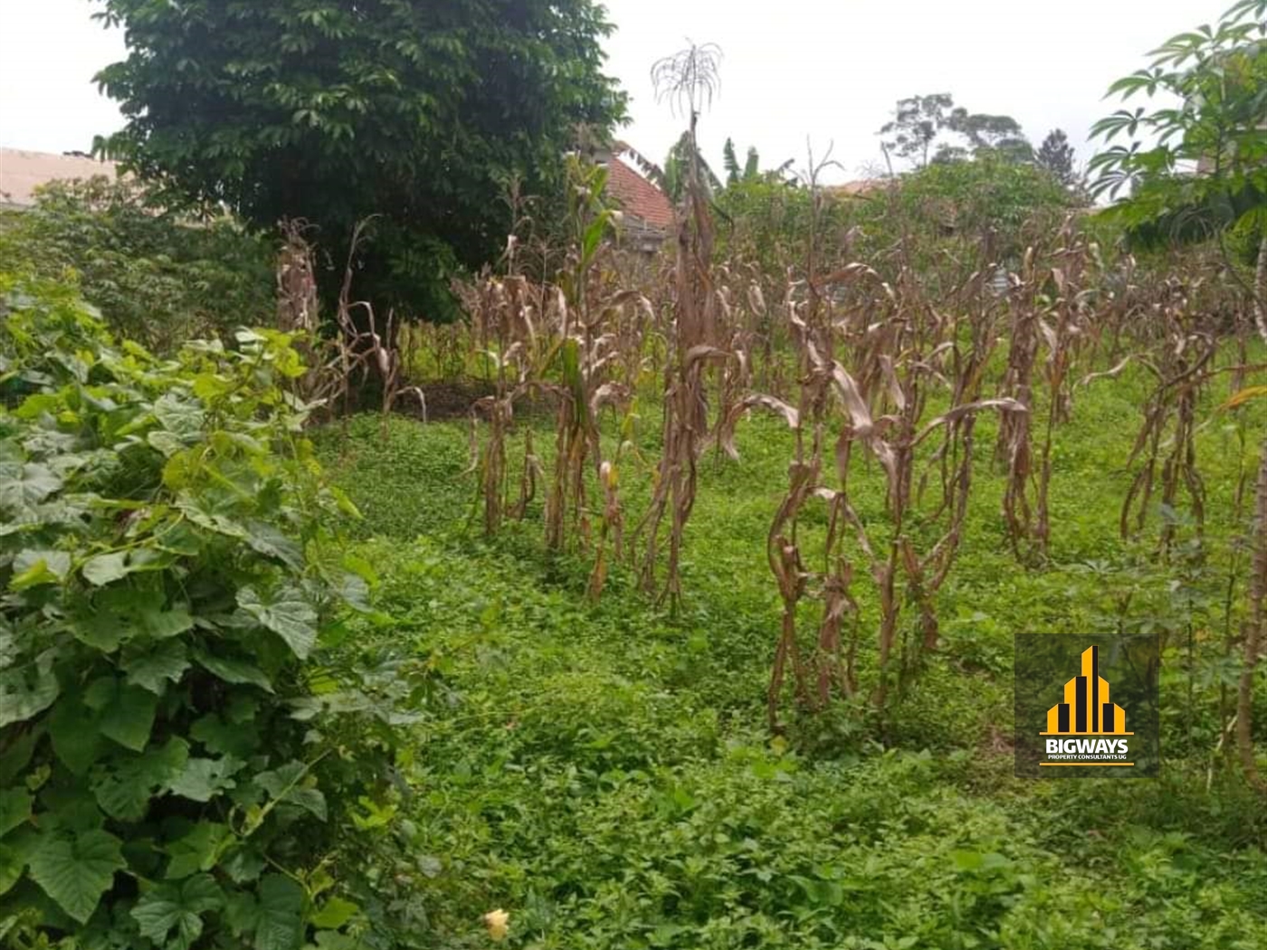 Residential Land for sale in Namugongo Wakiso