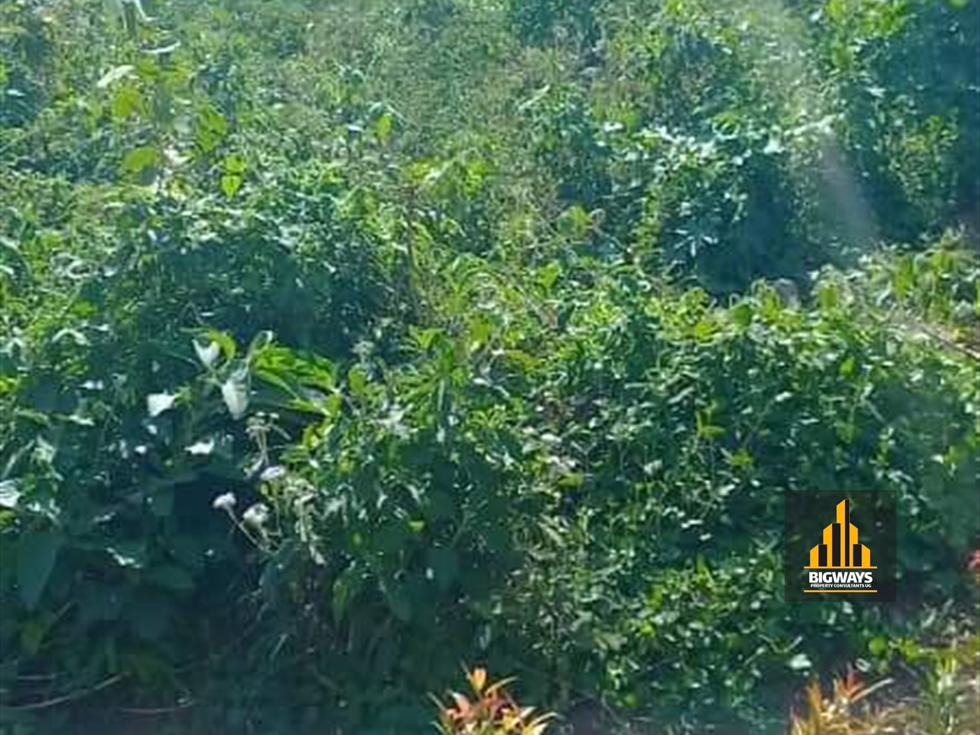 Residential Land for sale in Seguku Wakiso