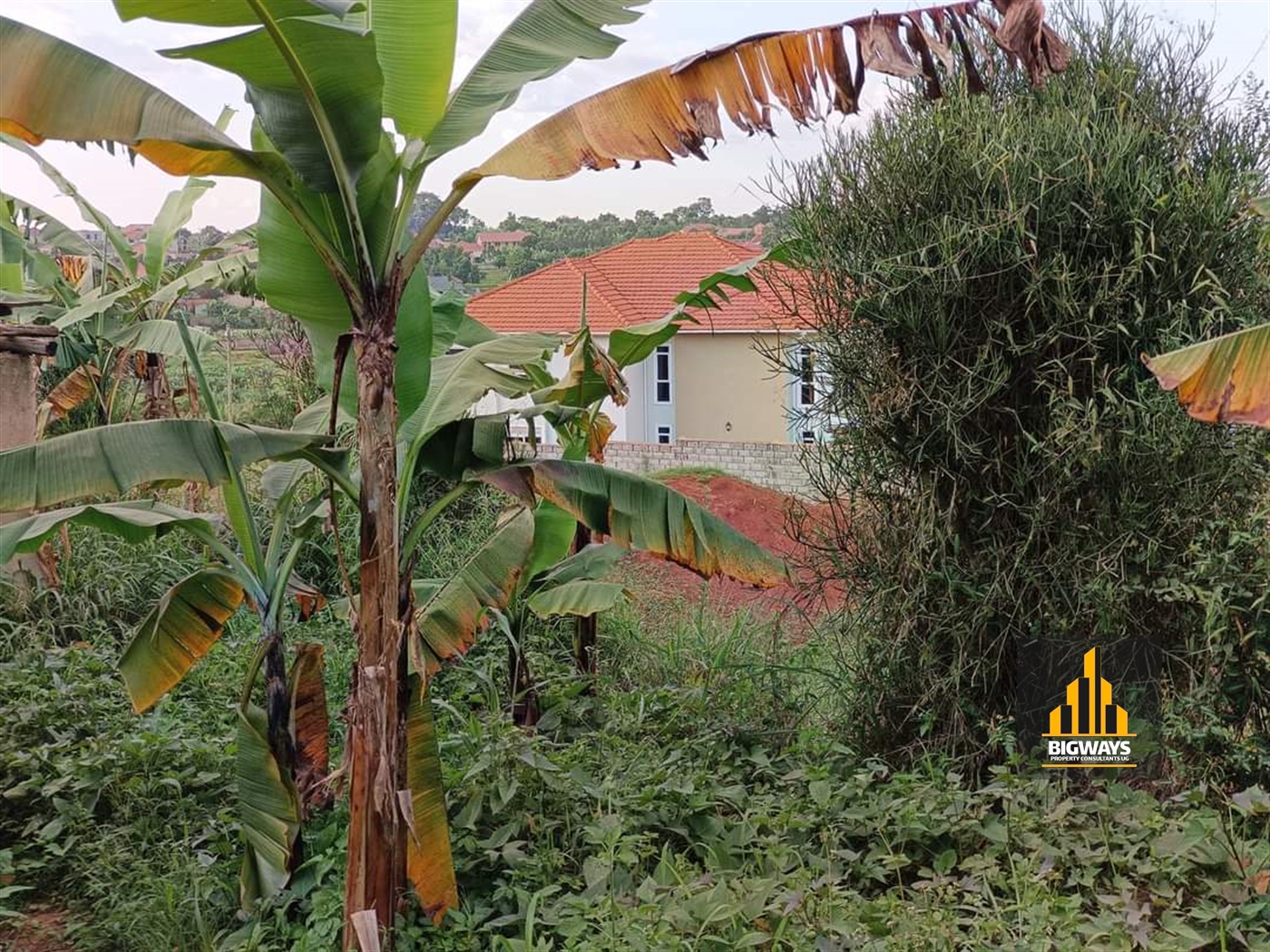 Residential Land for sale in Najjera Wakiso